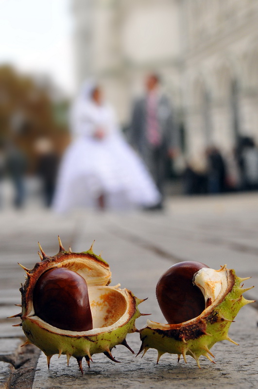 5007 20091003 yulia alex