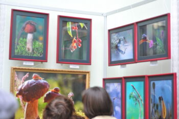 DSC_9455 То, что радует глаз и где отдыхает душа. Выставка Вячеслава Мищенко в Национальной Парламентской библиотеке Украины. 3