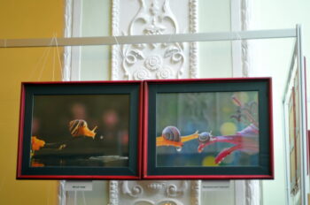 DSC_9462 То, что радует глаз и где отдыхает душа. Выставка Вячеслава Мищенко в Национальной Парламентской библиотеке Украины. 5