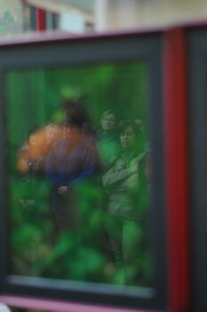 DSC_9526 То, что радует глаз и где отдыхает душа. Выставка Вячеслава Мищенко в Национальной Парламентской библиотеке Украины. 26