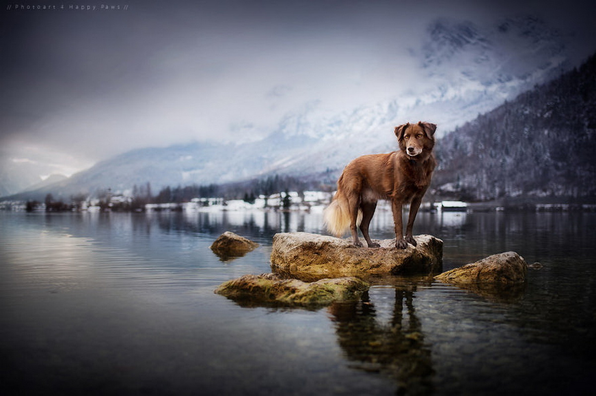 portraits_friends__009