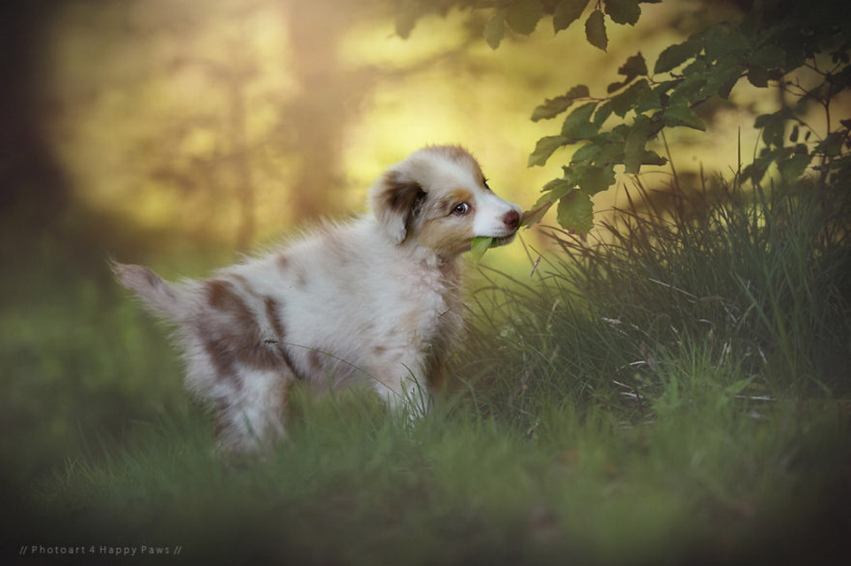 portraits_friends__013