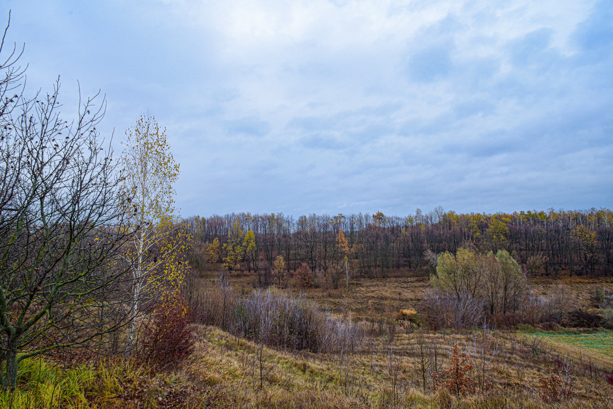 autumn landscape ukraine 0004