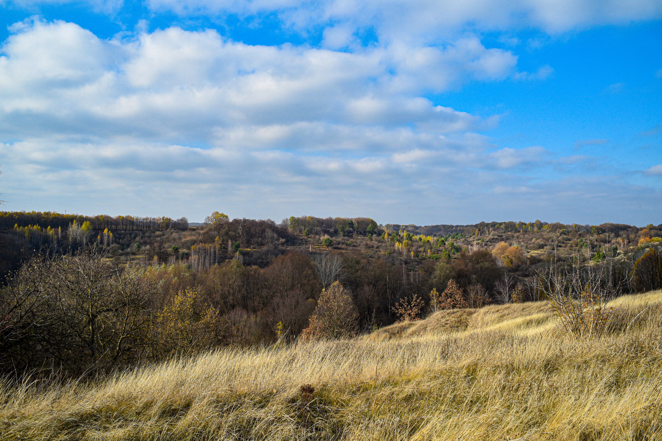 autumn landscape ukraine 0009