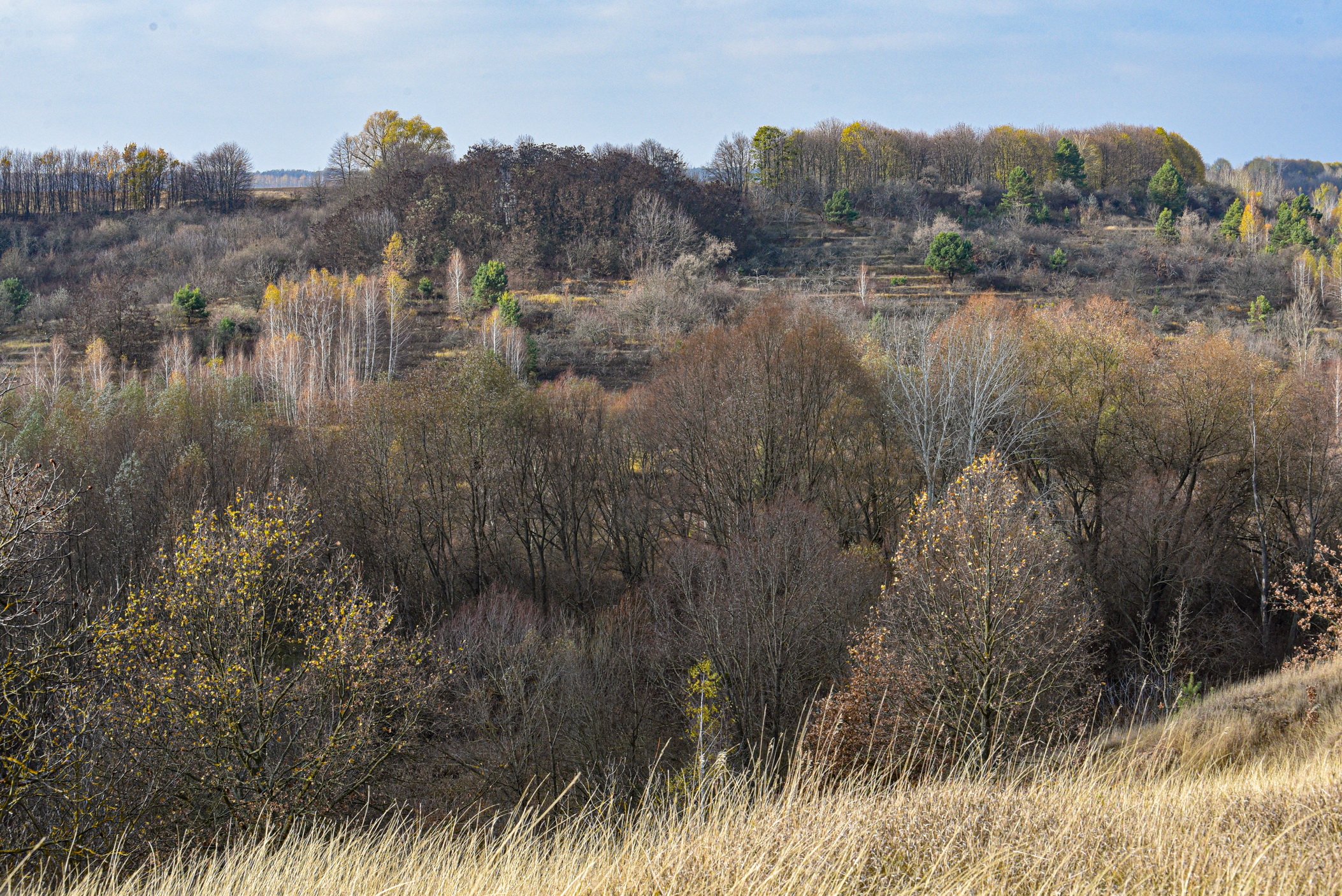 autumn landscape ukraine 0012