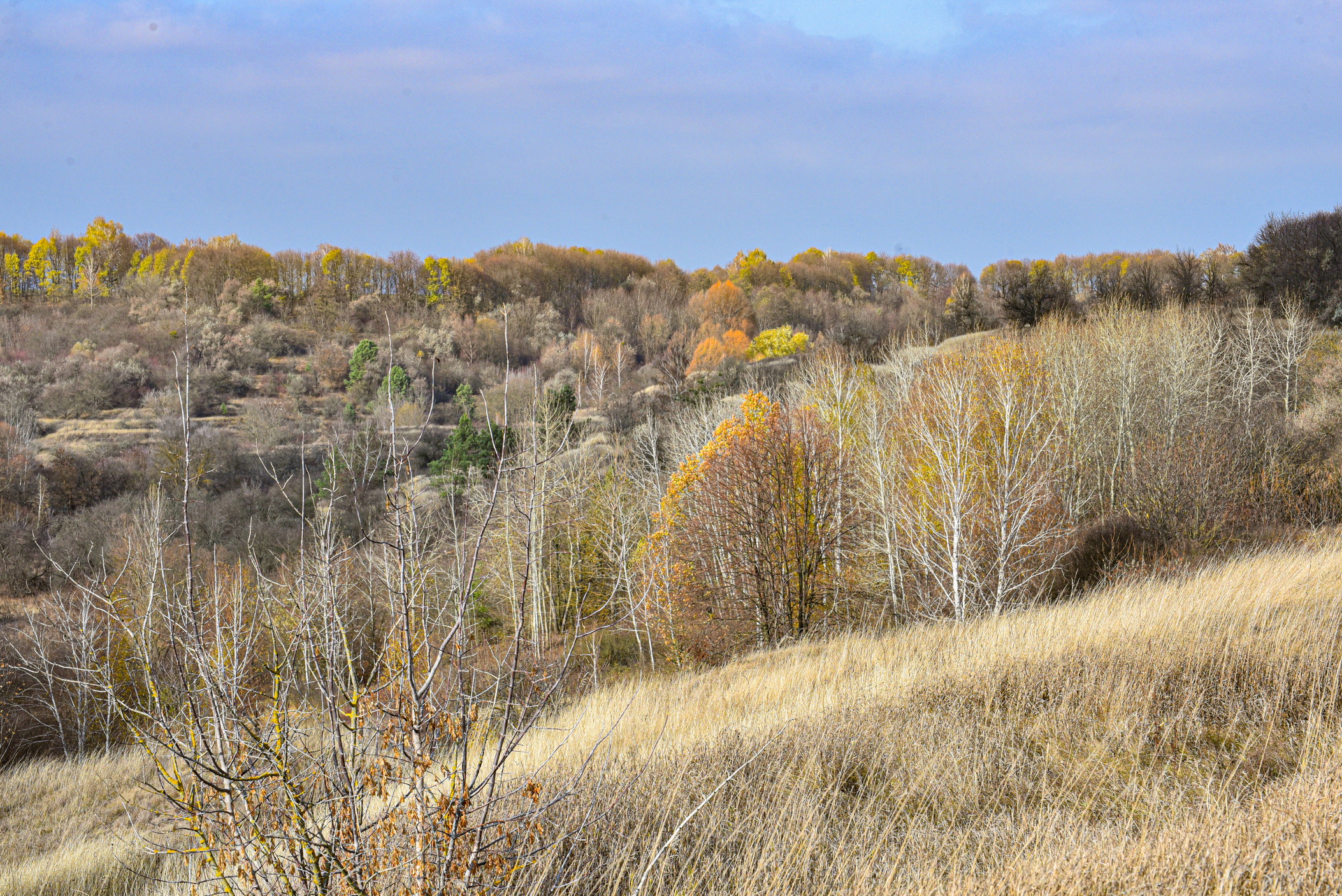autumn landscape ukraine 0014