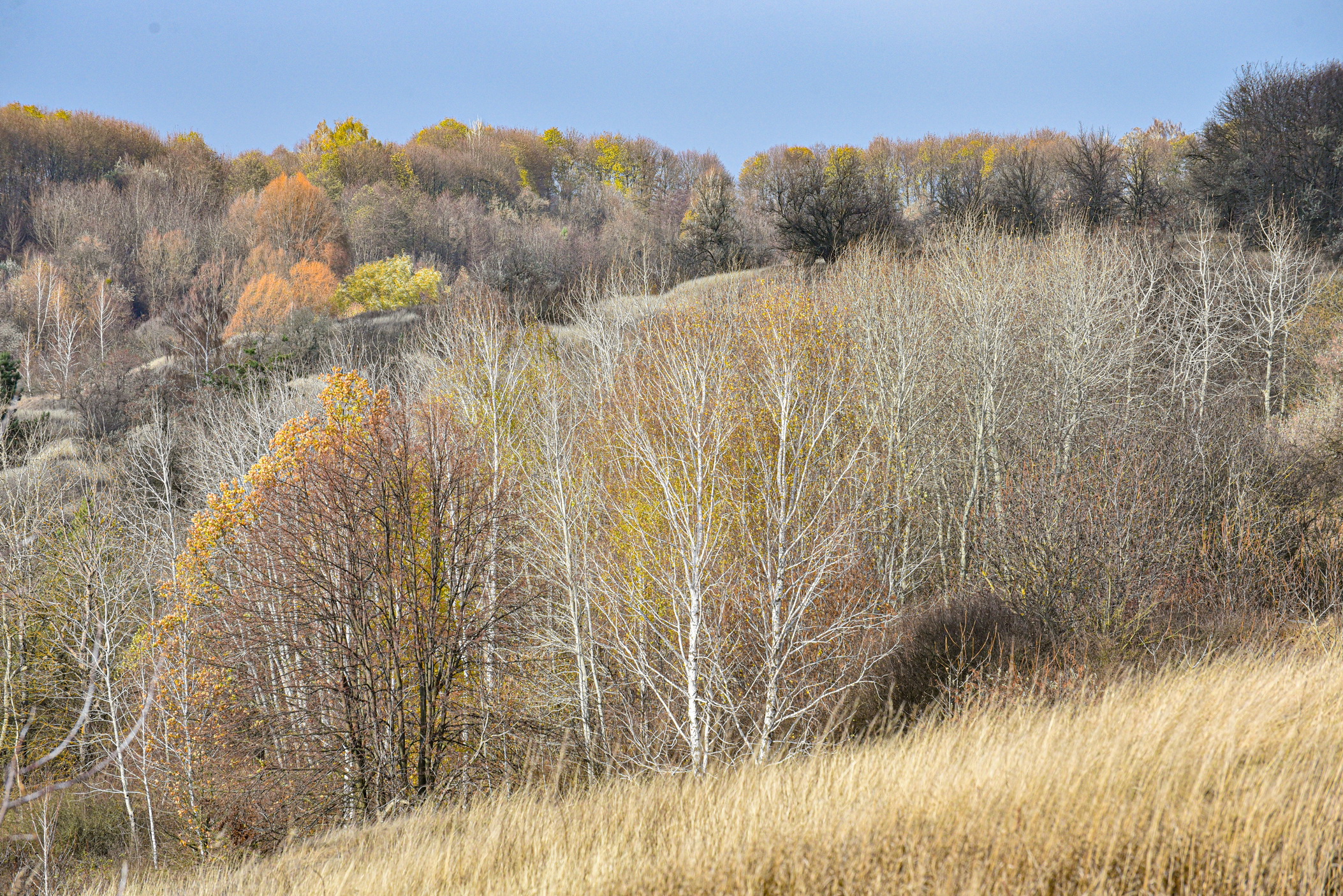 autumn landscape ukraine 0015