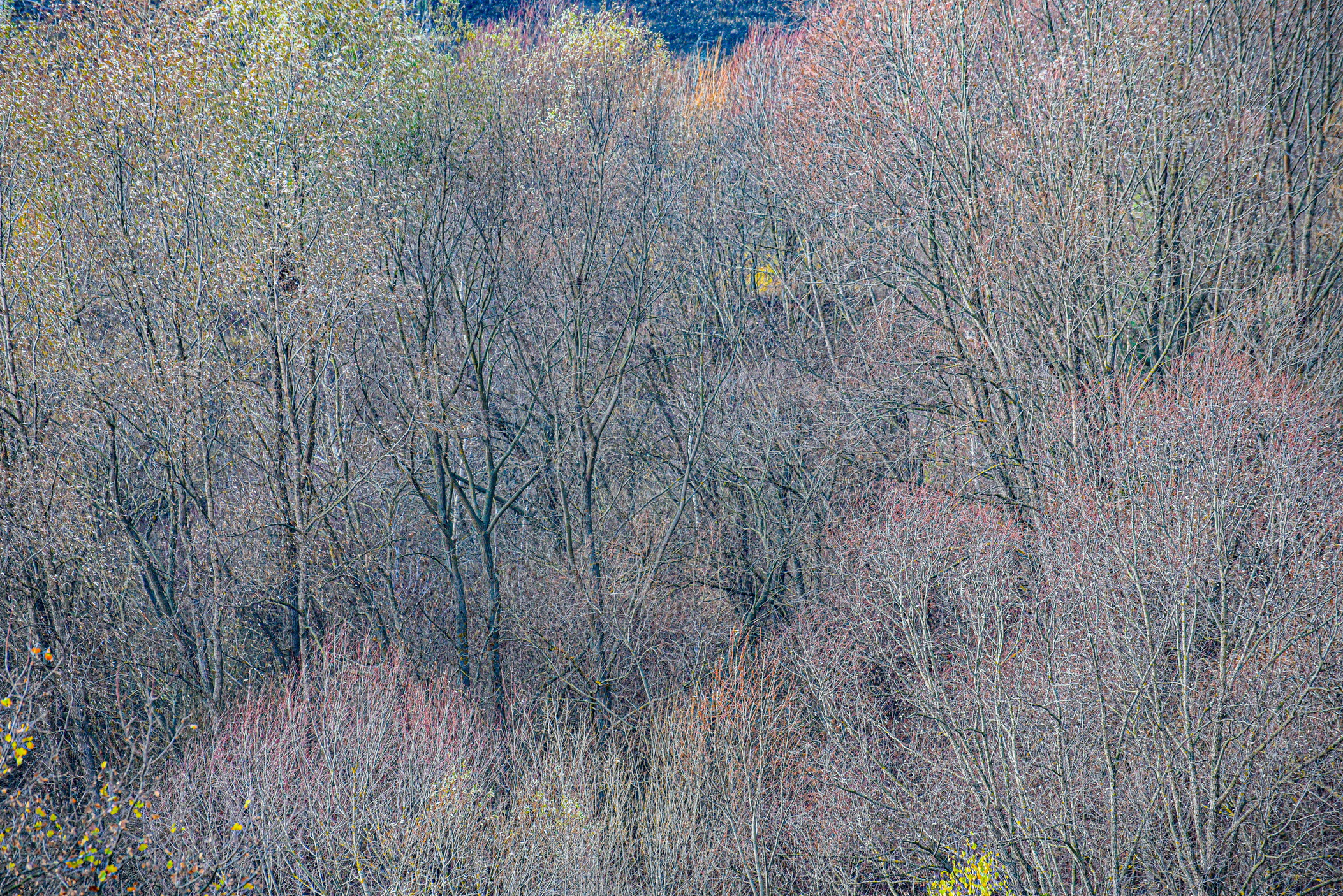 autumn landscape ukraine 0019