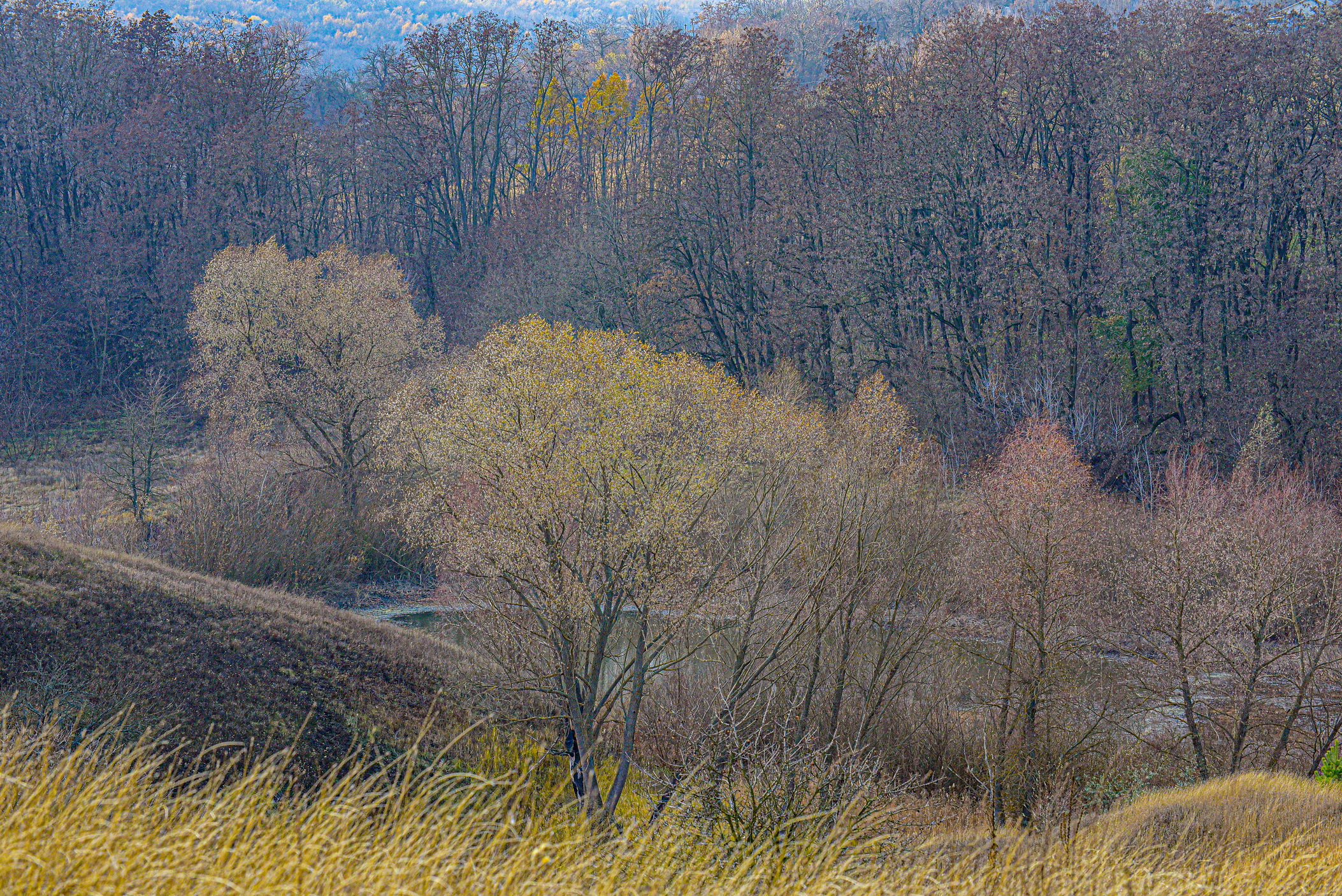 autumn landscape ukraine 0023