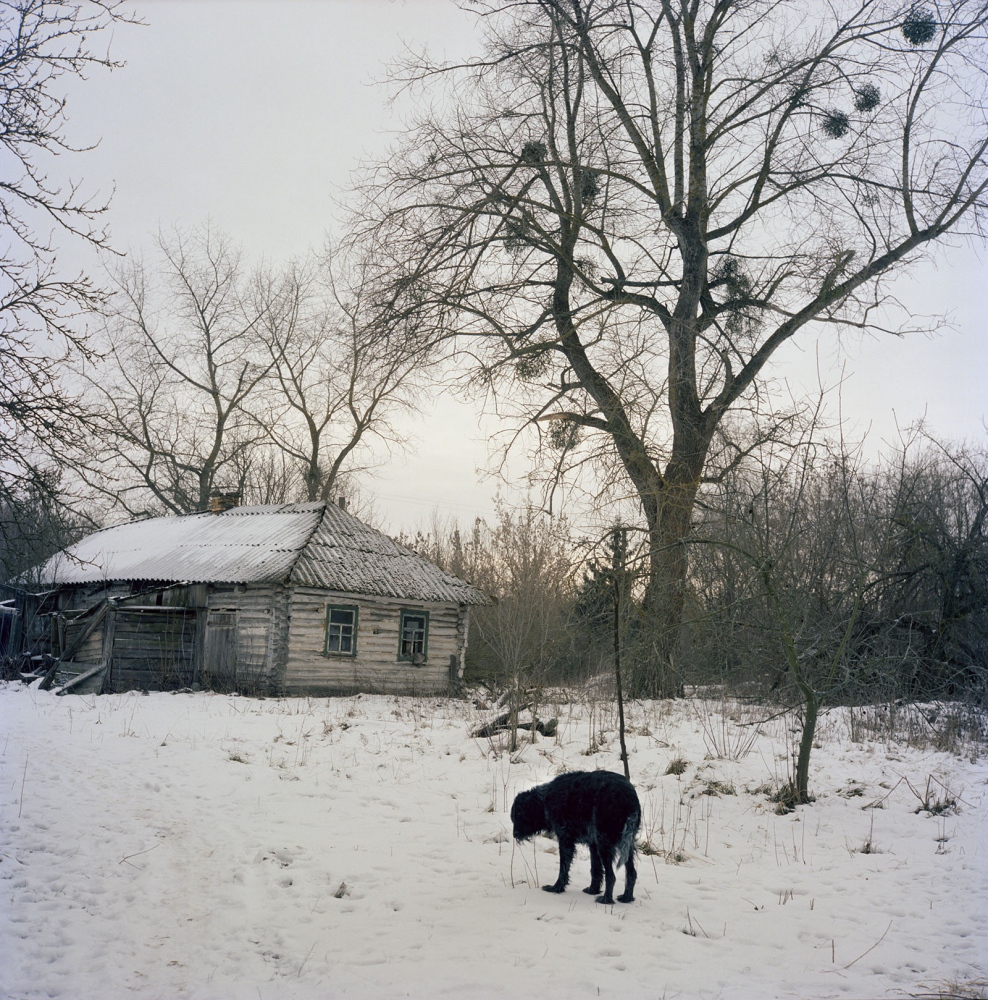 chernobyl zone 010 chernobyl zone 010