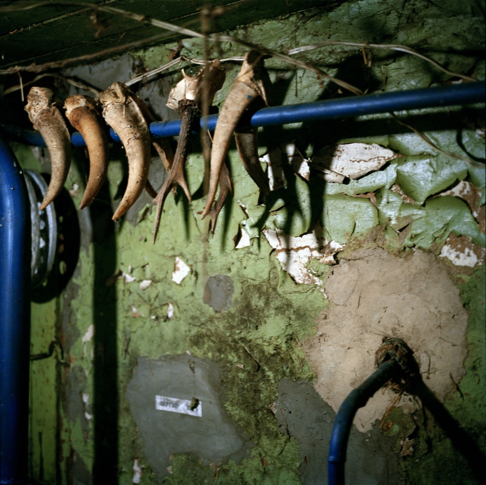 chernobyl zone 016 chernobyl zone 016