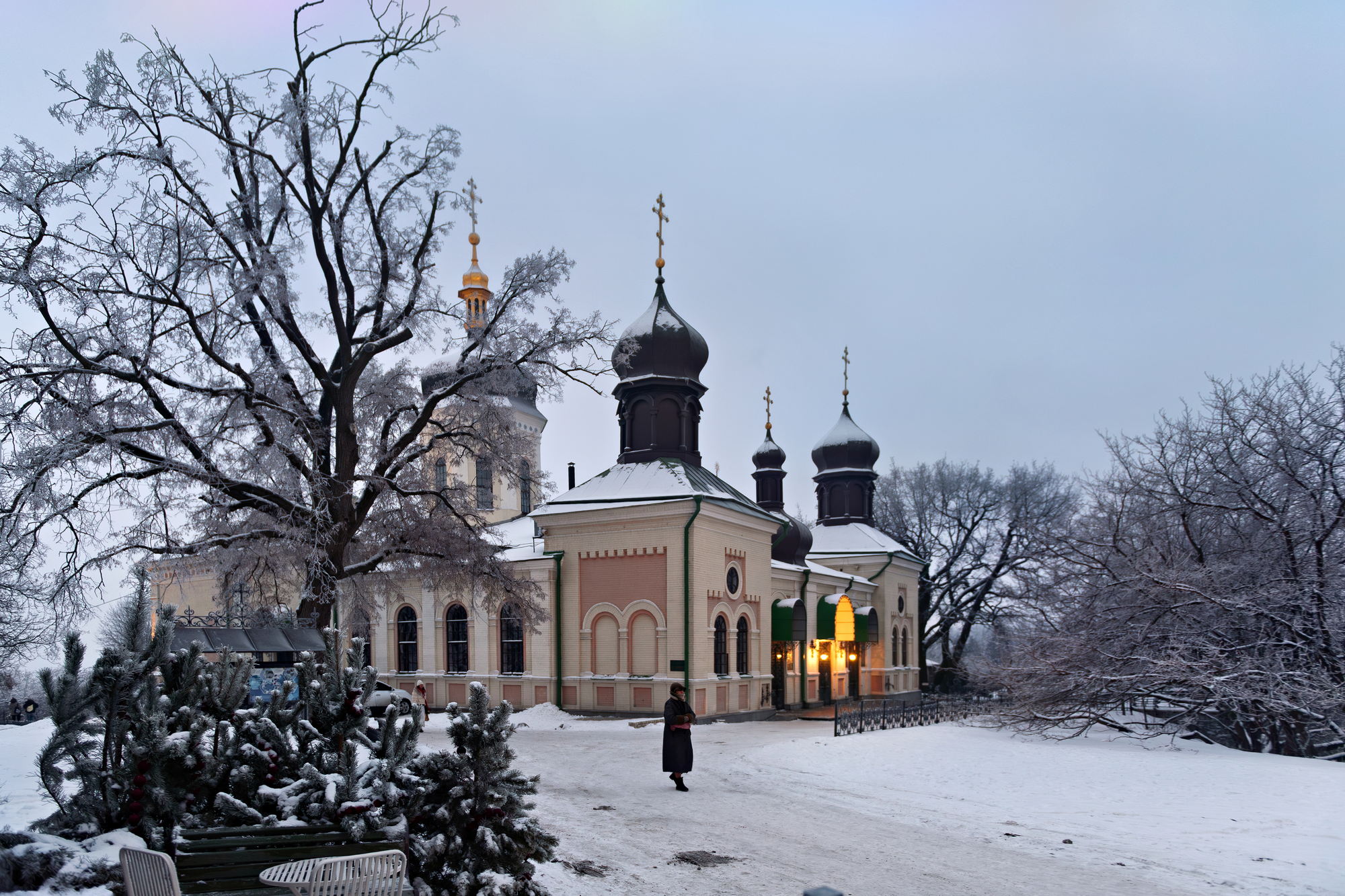 iona kyiv winter